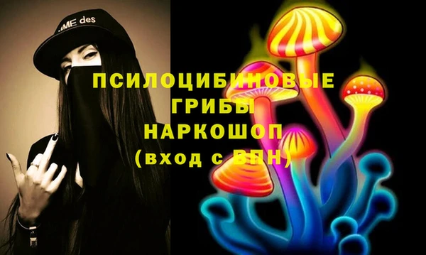 дурь Алзамай