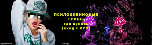 СК Алексеевка