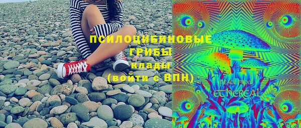 дурь Алзамай