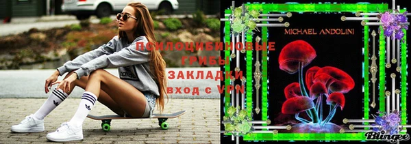 дурь Алзамай