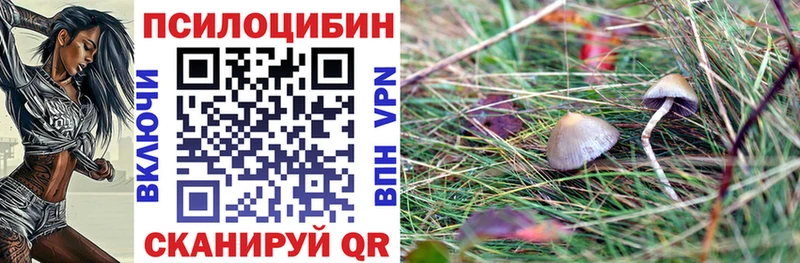 Псилоцибиновые грибы GOLDEN TEACHER  MEGA рабочий сайт  Зуевка 